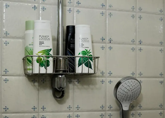 Unique In Centre Tallinn